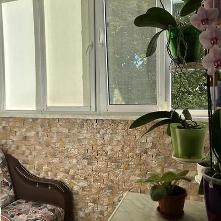 Appartement однокімнатна в одеських традиціях