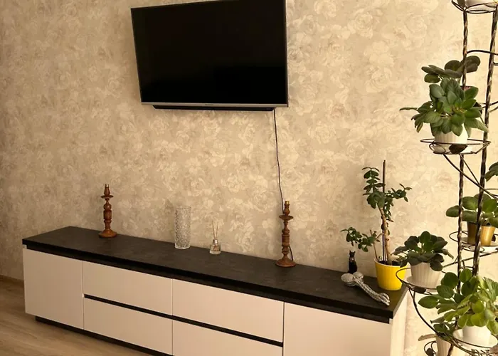 однокімнатна в одеських традиціях * 敖德萨