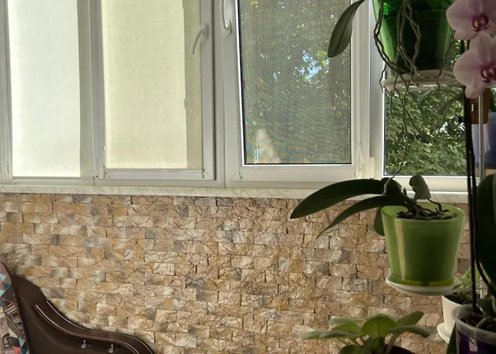 Appartement однокімнатна в одеських традиціях